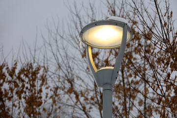 Glowing led lamp covered with snow and ice on winter trees background. Electric lighting in park,...