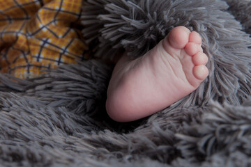 Détails d'orteil de bébé