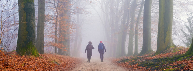 two women hike on foggy day in winter on sand path between beech trees - Powered by Adobe