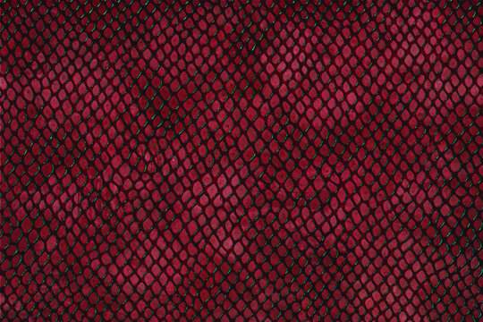 Black and red leather snakeskin cement wall