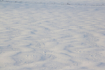 snow texture dunes of snow on a winter field