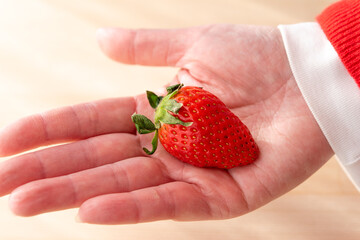 Obraz premium 手に乗せたいちご 大きさ比較 サイズ比較 