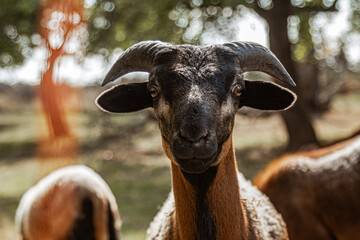 What do you want from me?