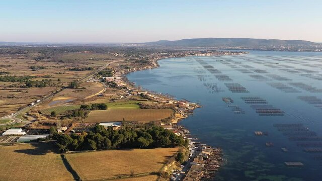 Aerial view of the oyster farms of the ports of Loupian and Mèze, on a winter morning, in Hérault in Occitanie, France