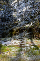 finland, finnish nature, park, forest, northern karelia, autumn, wild nature, autumn mood, lieksa, nurmes, koli, first snow, trees, mysterious forest, forest road