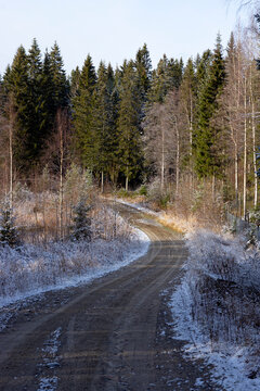 finland, finnish nature, park, forest, northern karelia, autumn, wild nature, autumn mood, lieksa, nurmes, koli, first snow, trees, mysterious forest, forest road