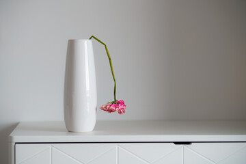 Beautiful withered and raised gerbera flower as a symbol of sadness and depression
