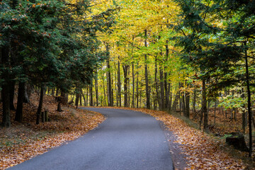 Obraz premium Fall foliage on the trees in Presque Isle Park road in Marquette, Michigan