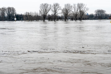 Rheinhochwasser im Juli 2021