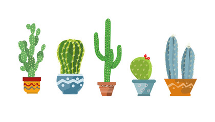Vector set of colorful cactus plants in colored pots. Isolated