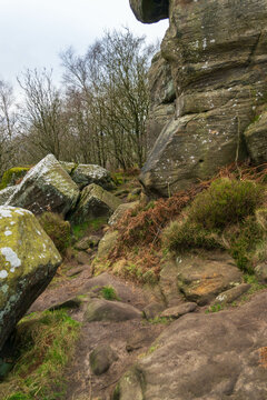 Brimham Rocks