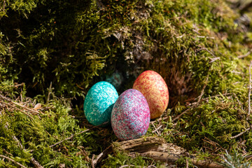 Farbige Ostereier auf Moosboden