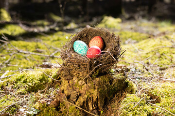 butnes Osternest in Waldlichtung