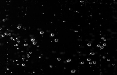 Moving Bubbles on Black Background, Macro Shot