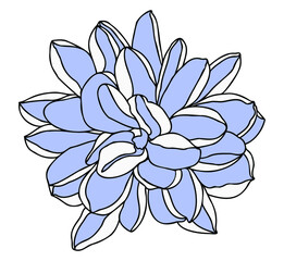 illustration of flower lilac color, dahlia flower head