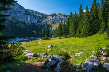 Obraz premium An attractive summer scene on a sunny day. Seasonal background. Discover the beauty of earth. Concept of outdoor recreation and relaxation.