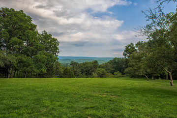 Naklejka premium landscape with trees