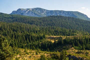 An attractive summer scene on a sunny day. Seasonal background. Discover the beauty of earth. Concept of outdoor recreation and relaxation.
