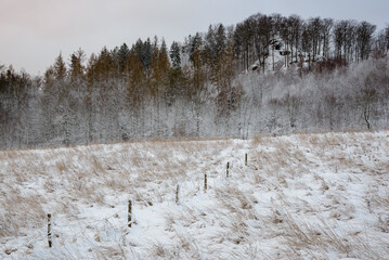 Zimowy widok na Koziniec (kotlina Jeleniogórska - Sudety zachodnie)