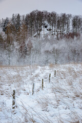 Zimowy widok na Koziniec (kotlina Jeleniogórska - Sudety zachodnie)