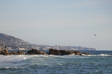 A beach in San Diego, California