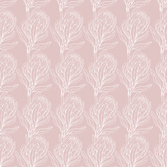 Seamless pattern with flowers of the royal protea.Simple floral background.Vector graphics.