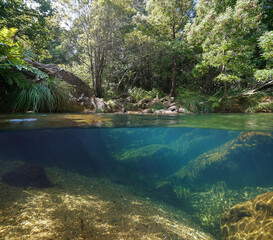 Wild river with clear water in the forest, split level view over and underwater, Spain, Galicia,...