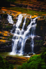 Obraz premium waterfall in the forest