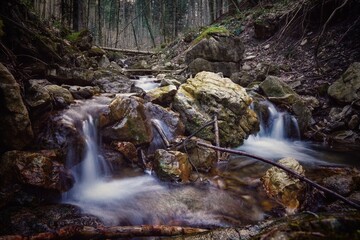 waterfall in the forest