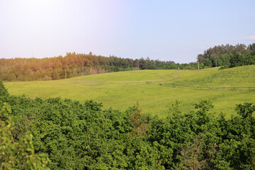 Fototapeta na wymiar grassy meadow on hillside in summer time. lovely nature