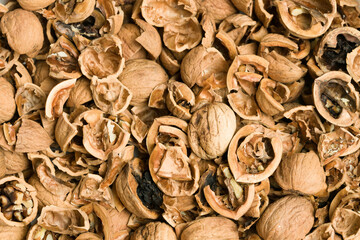 Walnut shell background, peeled walnuts shell texture
