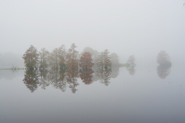 Morning Fog on Hillsborough river at Tampa, Florida	