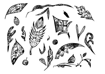 set with black and white doodling leaves