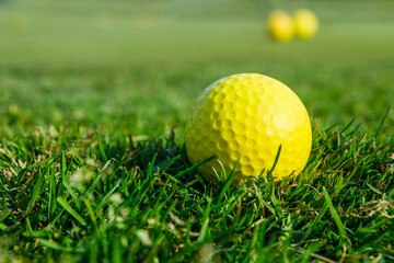 The golf ball is lying on the green grass.