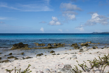Fototapeta na wymiar Caribbean seascape. Coral beach with turquoise sea.