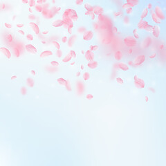 Sakura petals falling down. Romantic pink flowers gradient. Flying petals on blue sky square background. Love, romance concept. Outstanding wedding invitation.