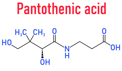 Vitamin B5 or pantothenic acid, pantothenate, molecule. Skeletal formula.