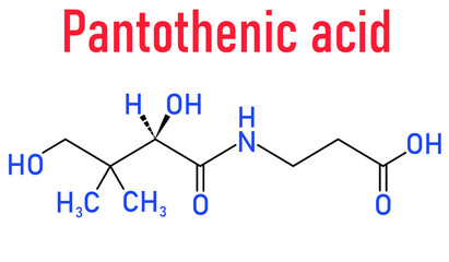 Vitamin B5 or pantothenic acid, pantothenate, molecule. Skeletal formula.