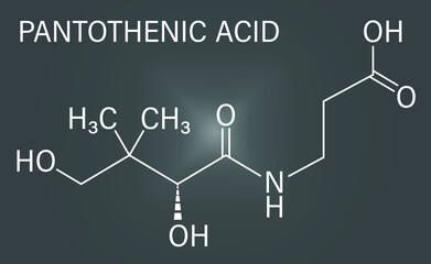 Vitamin B5 or pantothenic acid, pantothenate, molecule. Skeletal formula.