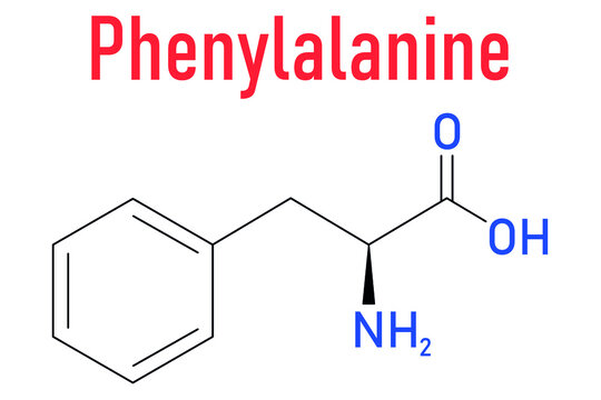 Phenylalanine or L-phenylalanine, Phe, F, amino acid molecule. Skeletal formula.