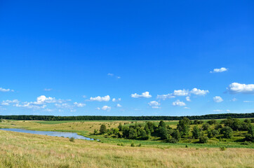 Pasture and forest on the background of the sky