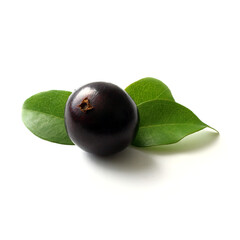 Detail of exotic Jabuticaba fruit isolated on white background