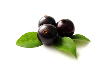 Detail of exotic Jabuticaba fruit isolated on white background