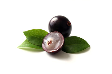 Detail of exotic Jabuticaba fruit isolated on white background