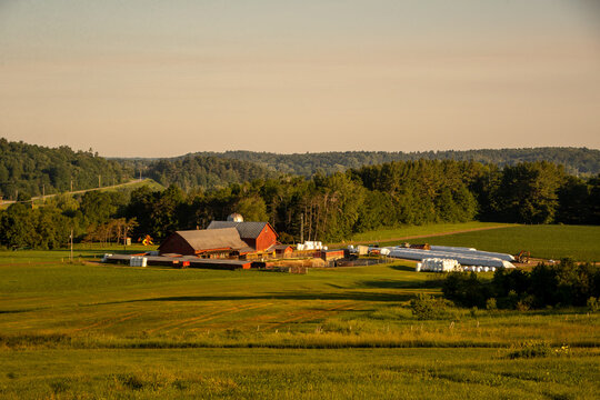 Farm in Summer