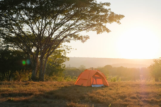 orange tent at a tourist campsite stands under bush near open grass field in the morning sunrise.	