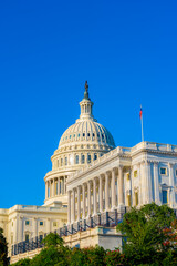 Obraz premium The United States Capitol, often called the Capitol Building, is the home of the United States Congress and the seat of the legislative branch of the U.S. federal government. Washington, United States