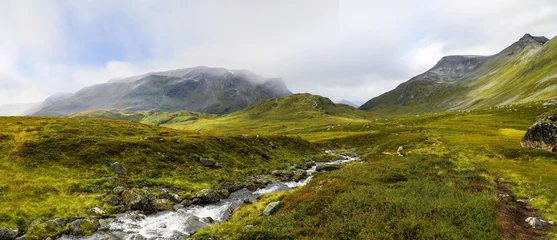 Fotobehang Peaceful stream flowing through a green mountain landscape © Jason Busa