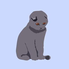 Fototapeta premium kawaii cute grey cat with orange eyes