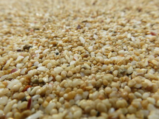 sand close up 